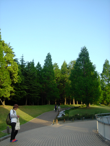 20080504e.jpg