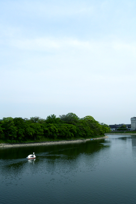 20120513e.jpg